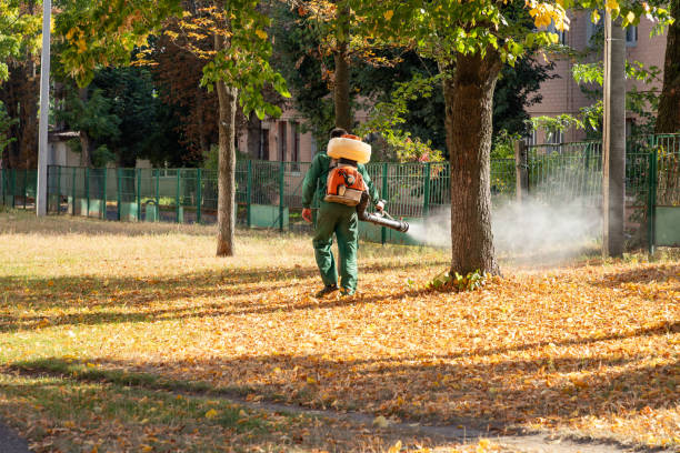 Reliable Artesia, CA Pest Control Solutions