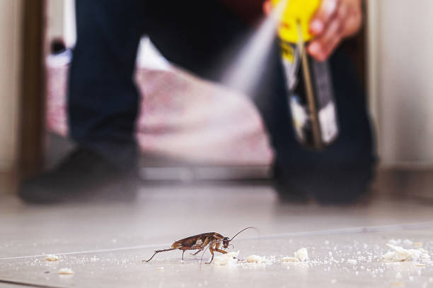 Best Cockroach Control Services  in Artesia, CA